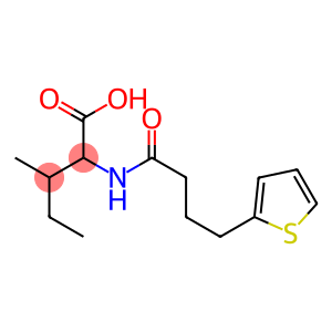 3-methyl-2-[4-(thiophen-2-yl)butanamido]pentanoic acid