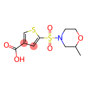 5-[(2-methylmorpholine-4-)sulfonyl]thiophene-3-carboxylic acid