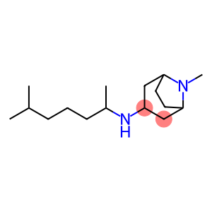 8-methyl-N-(6-methylheptan-2-yl)-8-azabicyclo[3.2.1]octan-3-amine