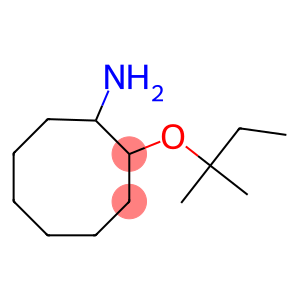 2-[(2-methylbutan-2-yl)oxy]cyclooctan-1-amine