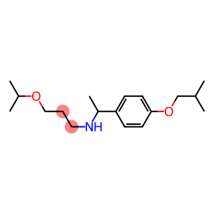 {1-[4-(2-methylpropoxy)phenyl]ethyl}[3-(propan-2-yloxy)propyl]amine