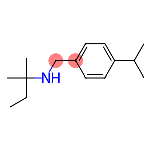 (2-methylbutan-2-yl)({[4-(propan-2-yl)phenyl]methyl})amine