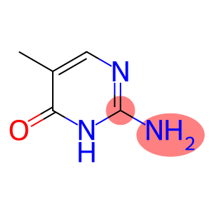 5-methyl isocytosine