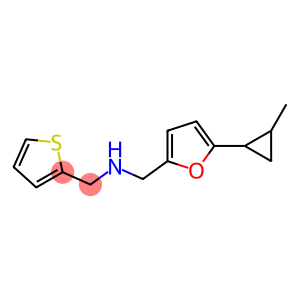 {[5-(2-methylcyclopropyl)furan-2-yl]methyl}(thiophen-2-ylmethyl)amine