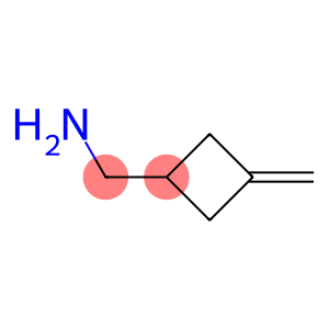 (3-METHYLENECYCLOBUTYL)METHYLAMIN