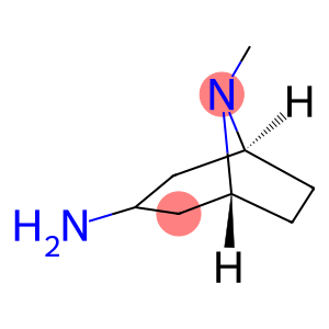 8-Methyl-8-azabicyclo[3.2.1]octan-3-amine