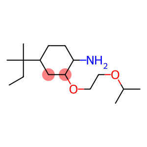 4-(2-methylbutan-2-yl)-2-[2-(propan-2-yloxy)ethoxy]cyclohexan-1-amine