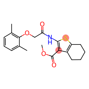 methyl 2-{[(2,6-dimethylphenoxy)acetyl]amino}-4,5,6,7-tetrahydro-1-benzothiophene-3-carboxylate