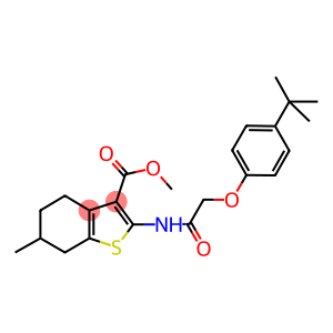 methyl 2-{[(4-tert-butylphenoxy)acetyl]amino}-6-methyl-4,5,6,7-tetrahydro-1-benzothiophene-3-carboxylate