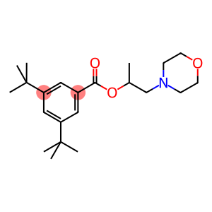 1-methyl-2-morpholin-4-ylethyl 3,5-ditert-butylbenzoate