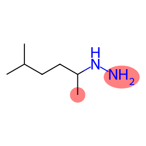 1-(5-methylhexan-2-yl)hydrazine