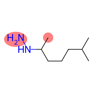 1-(6-methylheptan-2-yl)hydrazine