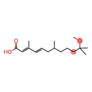 11-METHOXY-3,7,11-TRIMETHYL-2E,4E-DODECADIENOIC ACID