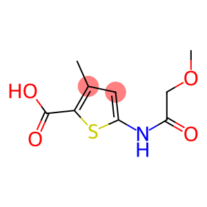 5-[(methoxyacetyl)amino]-3-methylthiophene-2-carboxylic acid