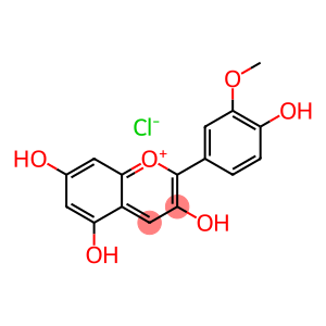 3'-METHOXY-4',3,5,7-TETRAHYDROXYFLAVYLIUMCHLORIDE