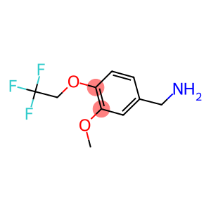 1-[3-methoxy-4-(2,2,2-trifluoroethoxy)phenyl]methanamine