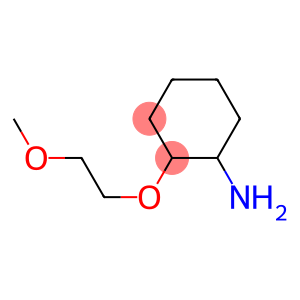 2-(2-methoxyethoxy)cyclohexan-1-amine