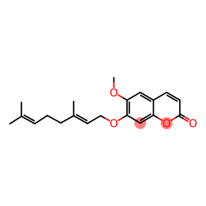 6-METHOXYAURAPTEN