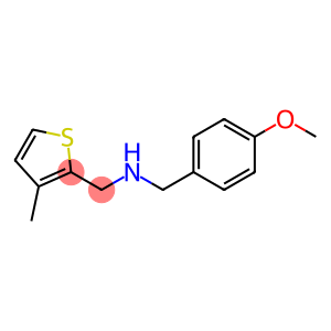 [(4-methoxyphenyl)methyl][(3-methylthiophen-2-yl)methyl]amine