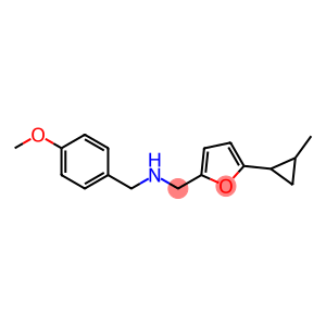 [(4-methoxyphenyl)methyl]({[5-(2-methylcyclopropyl)furan-2-yl]methyl})amine