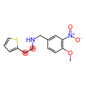 [(4-methoxy-3-nitrophenyl)methyl][2-(thiophen-2-yl)ethyl]amine