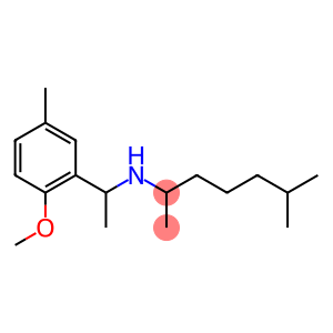 [1-(2-methoxy-5-methylphenyl)ethyl](6-methylheptan-2-yl)amine