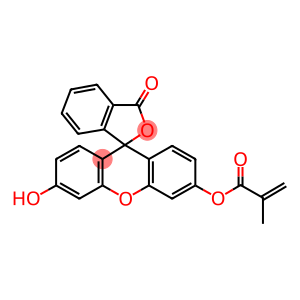 3'-METHACRYLOXYSPIROBENZO[C]-FURAN[1,9']XANTHEN-3-ONE