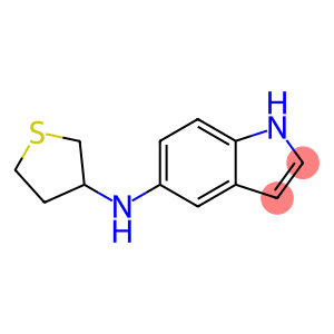 N-(thiolan-3-yl)-1H-indol-5-amine