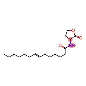 N-(7-tetradecenoyl)homoserine lactone