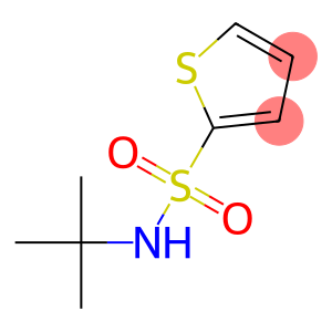 N-tert-butylthiophene-2-sulfonamide