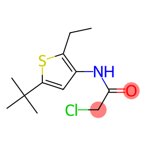 N1-[5-(tert-butyl)-2-ethyl-3-thienyl]-2-chloroacetamide