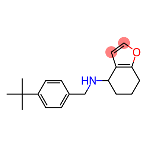 N-[(4-tert-butylphenyl)methyl]-4,5,6,7-tetrahydro-1-benzofuran-4-amine