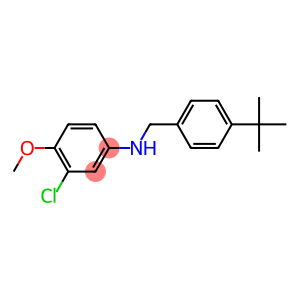 N-[(4-tert-butylphenyl)methyl]-3-chloro-4-methoxyaniline