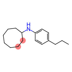 N-(4-propylphenyl)cyclooctanamine