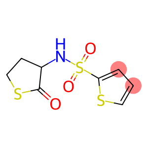 N-(2-oxotetrahydro-3-thienyl)-2-thiophenesulfonamide