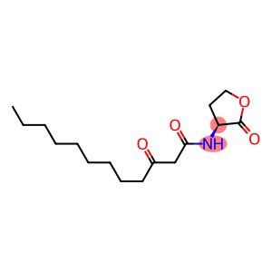 N-(3-oxododecanoyl)homoserine lactone