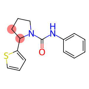 N1-phenyl-2-(2-thienyl)pyrrolidine-1-carboxamide