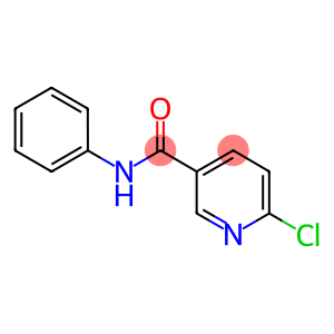 N3-PHENYL-6-CHLORONICOTINAMIDE