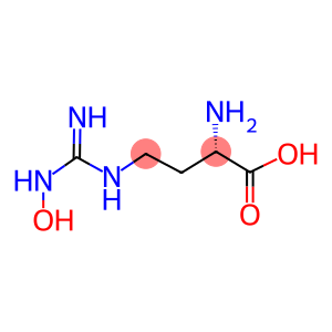 H-NORARG(SIGMA-OH)-OH