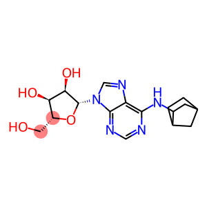 N-(2-Norbornyl)adenosine