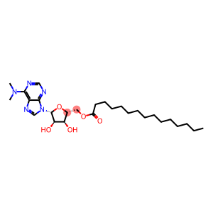 N,N-Dimethyl-5'-O-pentadecanoyladenosine