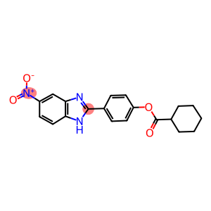 4-{5-nitro-1H-benzimidazol-2-yl}phenyl cyclohexanecarboxylate