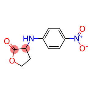 3-[(4-nitrophenyl)amino]oxolan-2-one