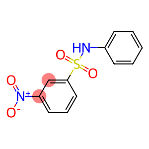 3-NITROBENZENESULFONANILIDE