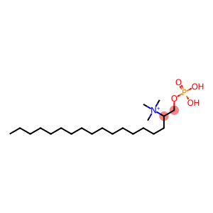 1-n-Hexadecylphosphorylcholine