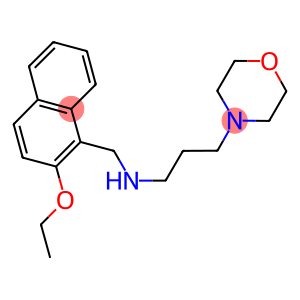 N-[(2-ethoxy-1-naphthyl)methyl]-N-[3-(4-morpholinyl)propyl]amine