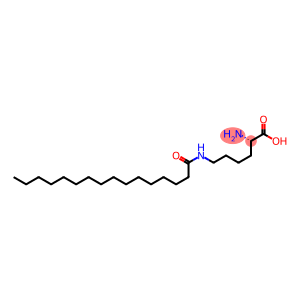 N(epsilon)-palmitoyllysine