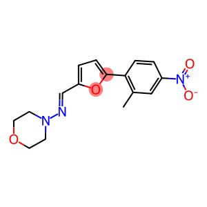 N-{(1E)-[5-(2-METHYL-4-NITROPHENYL)-2-FURYL]METHYLENE}MORPHOLIN-4-AMINE