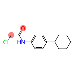 N1-(4-CYCLOHEXYLPHENYL)-2-CHLOROACETAMIDE