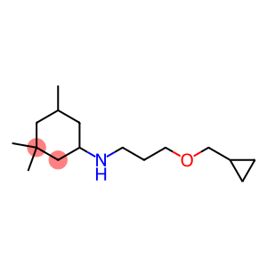 N-[3-(cyclopropylmethoxy)propyl]-3,3,5-trimethylcyclohexan-1-amine